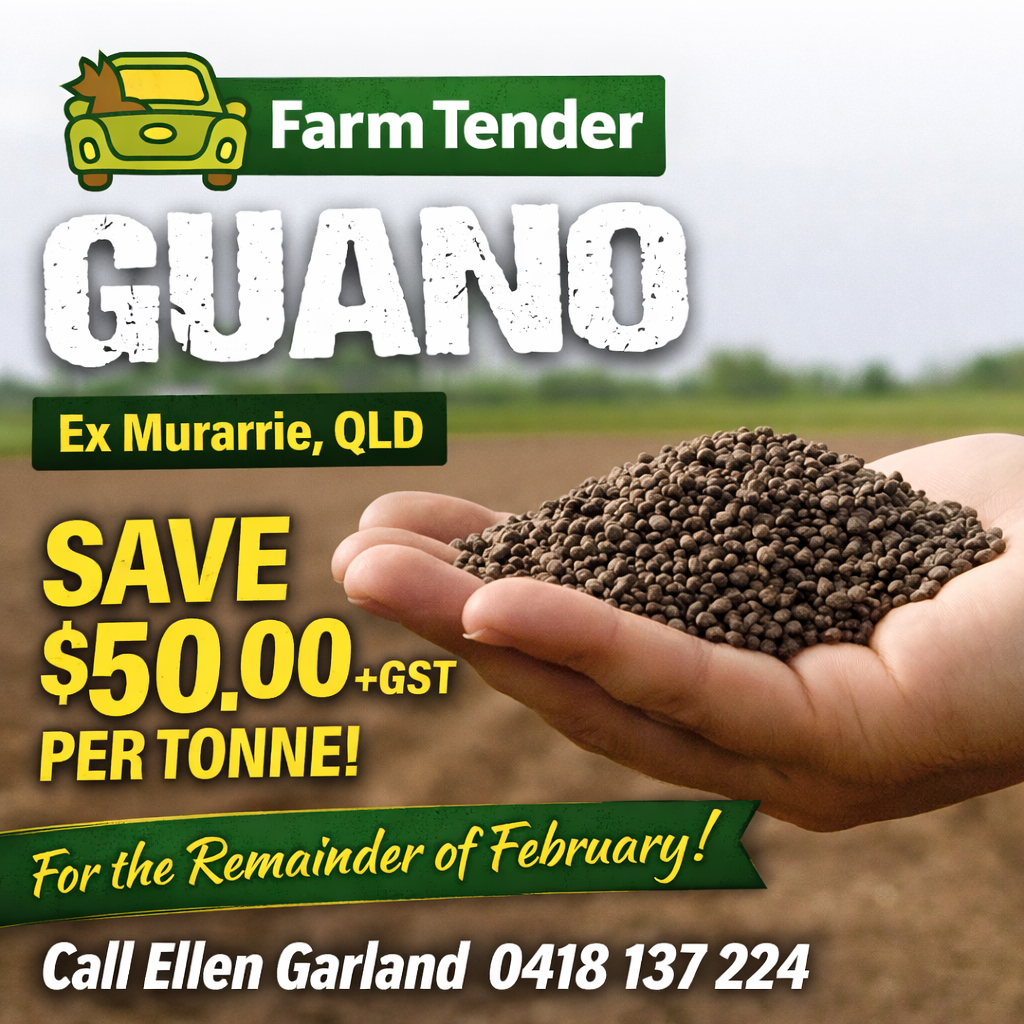 Guano February Special 