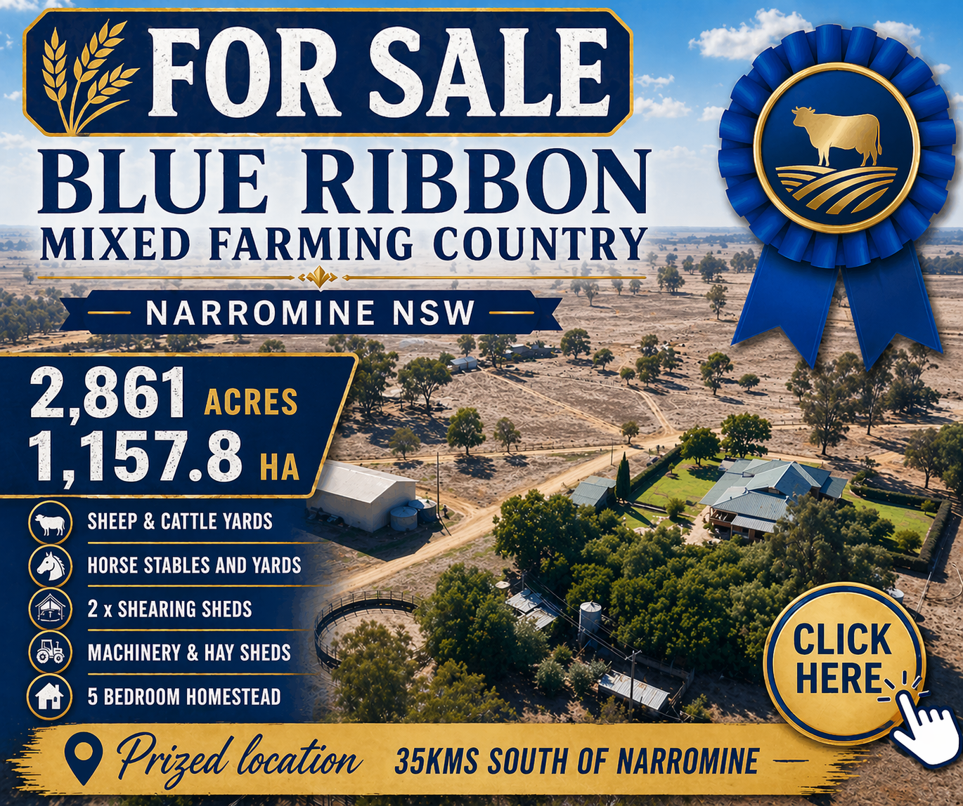Blue Ribbon Mixed Farming Country - Narromine - April to Jun