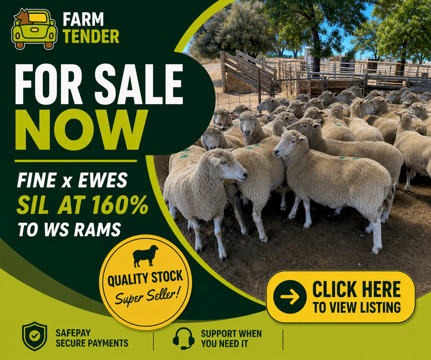 Livestock Listing - Hamish Bailey - Listing 130421