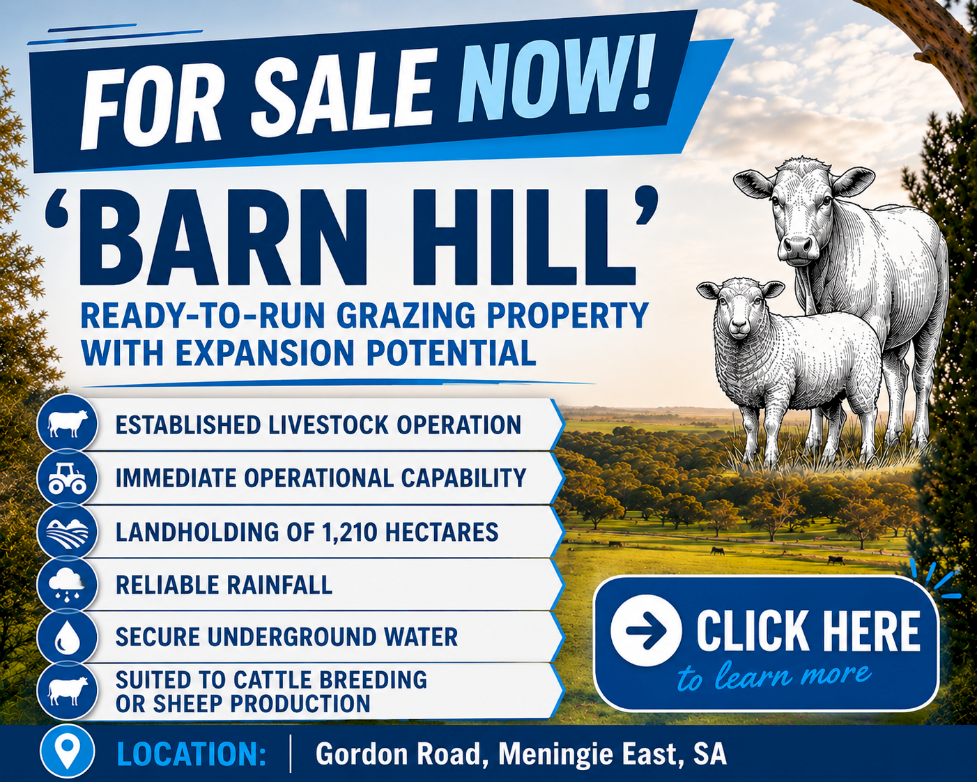 Barn Hill - For Sale Grazing Property 