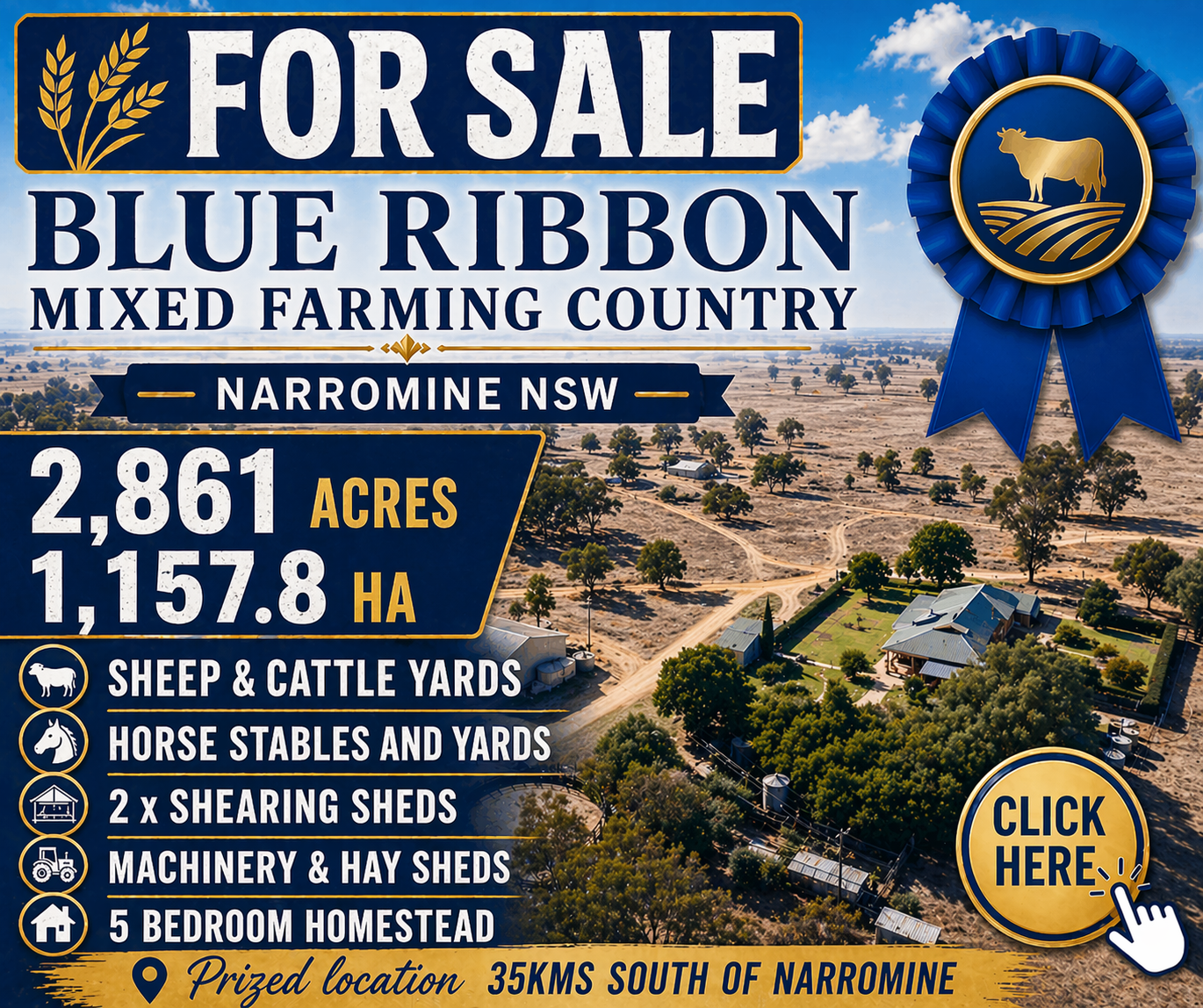 Blue Ribbon Mixed Farming Country - Narromine - April to Jun