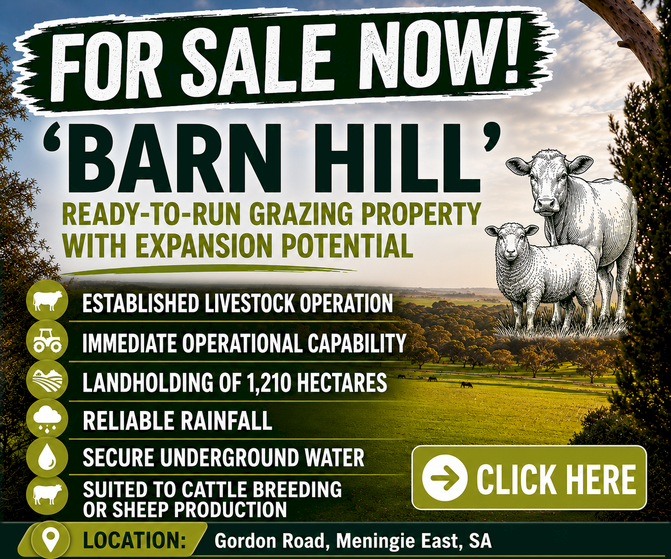 Barn Hill - For Sale Grazing Property 