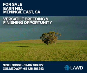 Henke - Barn Hill - Updated 10/12/2025