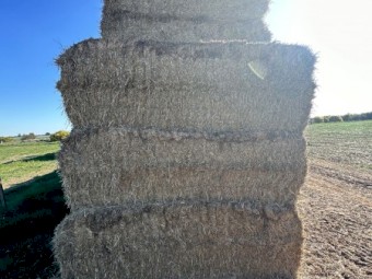 Straw tops