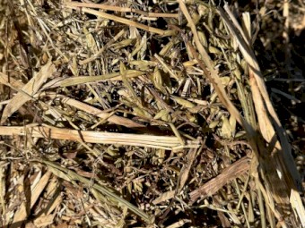 Oaten Hay 8x4x3 Bales