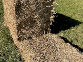 Oaten Hay 8x4x3 Bales