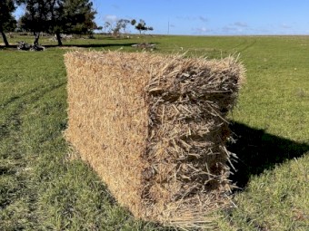 Oaten Hay 8x4x3 Bales
