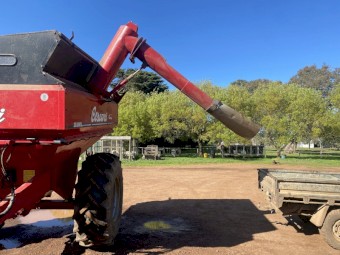 Cestari chaser bin (10,000L) 