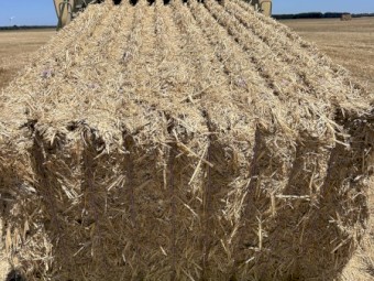 200mt Wheaten Straw 500-550kg 8x4x3 Bales
