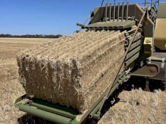 200mt Wheaten Straw 500-550kg 8x4x3 Bales