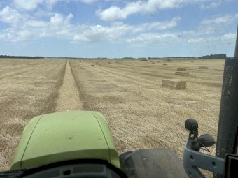 200mt Wheaten Straw 500-550kg 8x4x3 Bales