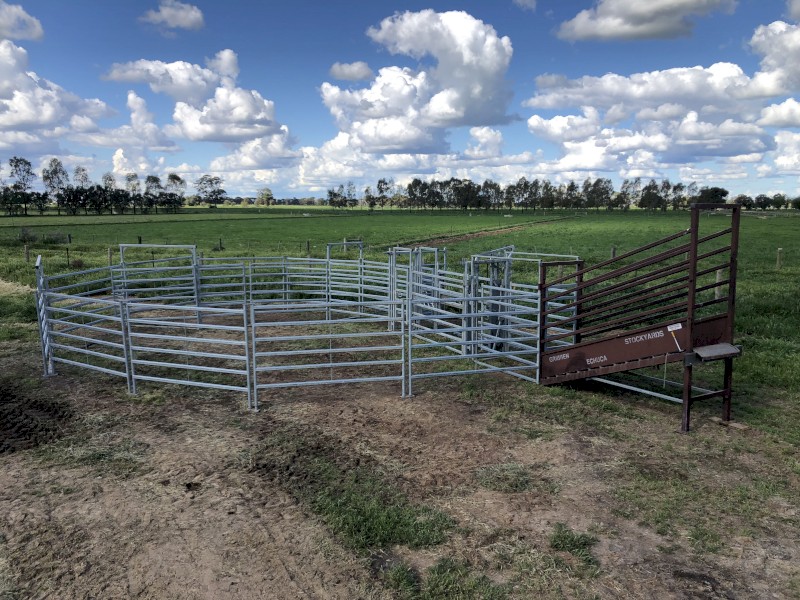 Cattle Yards Portable Gribben Stockyards