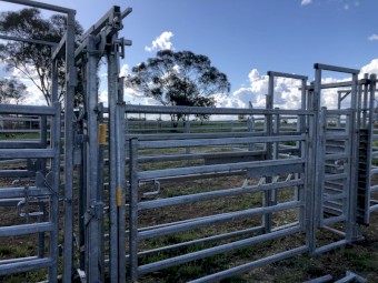 Cattle Yards Portable Gribben Stockyards