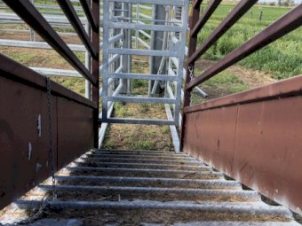 Cattle Yards Portable Gribben Stockyards