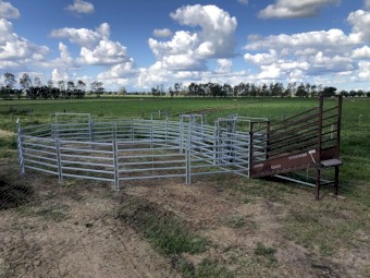 Cattle Yards Portable Gribben Stockyards