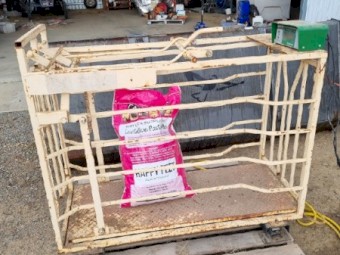 Thunderbird Weighing crate