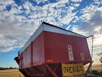 Bordignon Chaser Bin