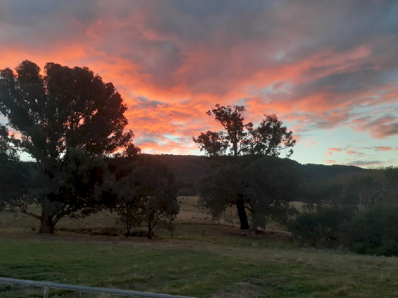 WANTED Lease acreage 