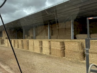 45mt Oaten Hay Tops 8x4x3 Bales