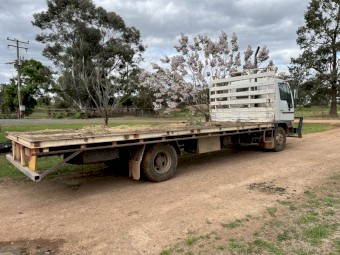 Hino FC with 20’ crate