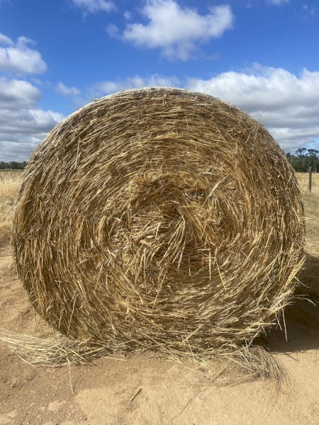 220mt Oaten/Ryegrass Hay 400kg 5x4 Rolls