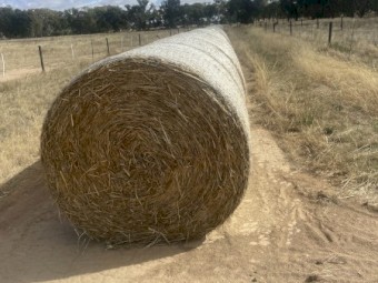 220mt Oaten/Ryegrass Hay 400kg 5x4 Rolls