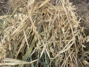 220mt Oaten/Ryegrass Hay 400kg 5x4 Rolls