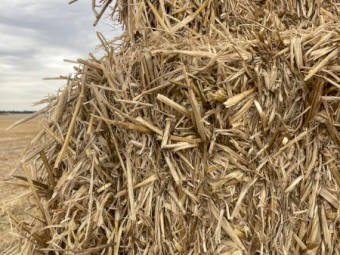 150mt Barley Straw tailings 8x4x3 Bales