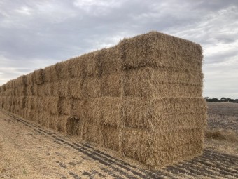150mt Barley Straw tailings 8x4x3 Bales