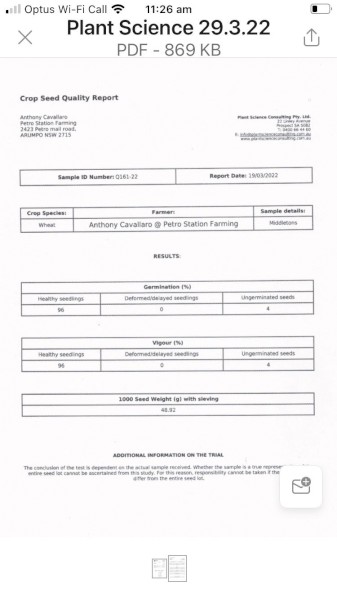 40mt Scepter Wheat Seed