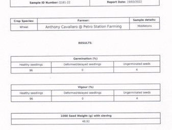 40mt Scepter Wheat Seed