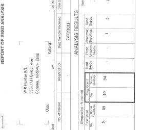 6 m/t Yallara Oat Seed Graded
