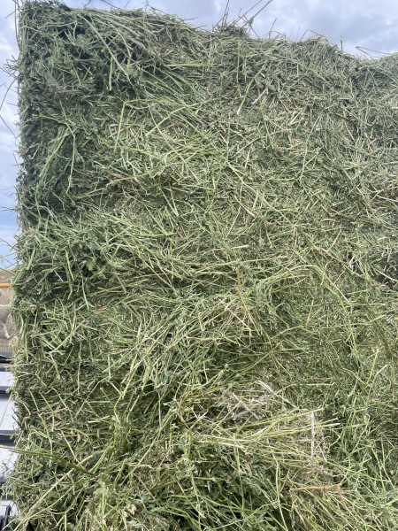 60mt Lucerne Hay 8x4x3 Bales