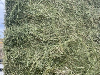 60mt Lucerne Hay 8x4x3 Bales