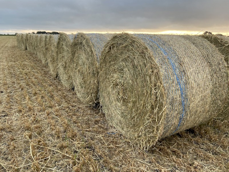 Oaten round bales 