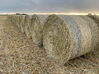 Oaten round bales 