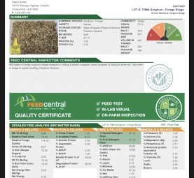 820 x Sorghum Silage Round Bales