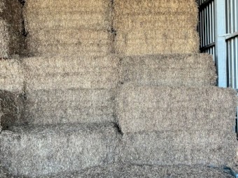 100mt Vetch Hay 8x4x3 Bales (22/23 Season)