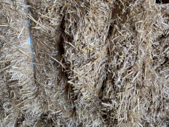 300 x Wheat Straw 500-530kg 8x4x3 Bales
