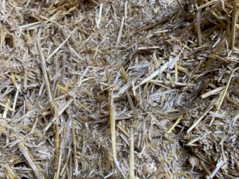 300 x Wheat Straw 500-530kg 8x4x3 Bales