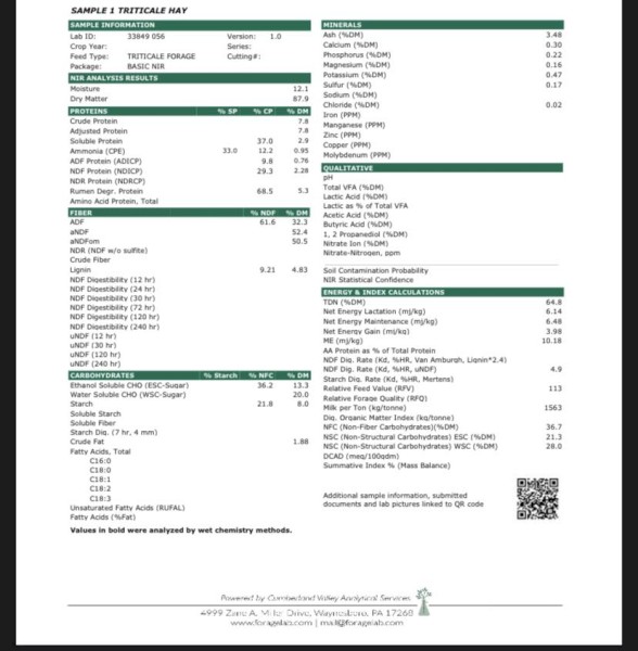 180mt Triticale Hay 600-650kg 8x4x3 Bales
