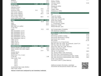180mt Triticale Hay 600-650kg 8x4x3 Bales