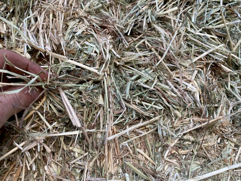 Clover/rye hay