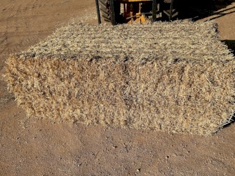 Barley Straw 