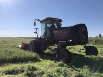 Case IH 1903 Windrower Mower Conditioner