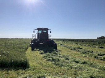 Case IH 1903 Windrower Mower Conditioner