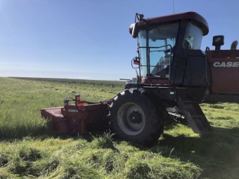 Case IH 1903 Windrower Mower Conditioner