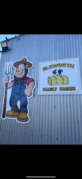 Clover Ryegrass Hay Small Square Bales