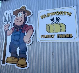 Clover Ryegrass Hay Small Square Bales