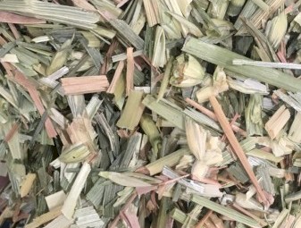 WANTED Beardless Wheaten Hay